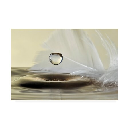 Trademark Fine Art Heidi Westum 'Feathers Drop' Canvas Art, 22x32 1X08354-C2232GG